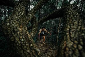 BIB: 
                            <button type="button" onclick="openModal(25692211)" class="btn btn-primary btn-sm float-right btn-popup" data-toggle="modal" data-target=".modal-high-quality">
                        <i class="fas fa-shopping-cart"></i> Add to Cart
                    </button>
                                            <button type="button" onclick="isThisMe(25692211, true)" class="btn btn-success btn-sm float-right btn-popup btn-isme hidden" data-toggle="tooltip" data-placement="bottom" title="นี่คือรูปของคุณใช่ไหม คลิกที่นี่เพื่อเอาเข้าอัลบั้ม">
                        <i class="fas fa-plus"></i> Add to album
                    </button>
                    <button type="button" onclick="isThisMe(25692211, false)" class="btn btn-warning btn-sm float-right btn-popup btn-isnotme hidden">
                        <i class="fas fa-ban"></i> Remove from album
                    </button>